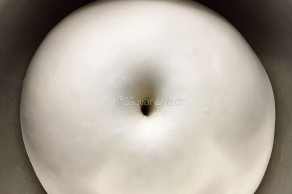 黑麦核桃蔓越莓软欧包的做法图解2