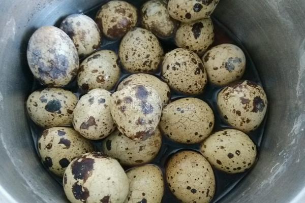 草果卤鹌鹑蛋的做法图解2