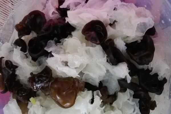 豆皮炒双耳的做法图解5