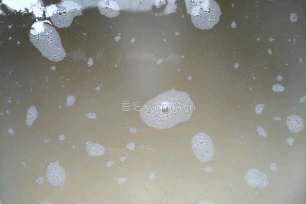 养胃减肥粥的做法图解5