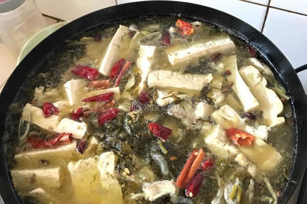 酸菜草鱼鲶鱼的做法图解4