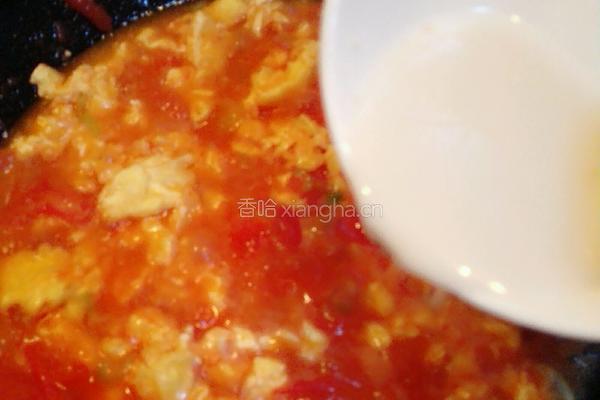 西红柿鸡蛋卤的做法图解10