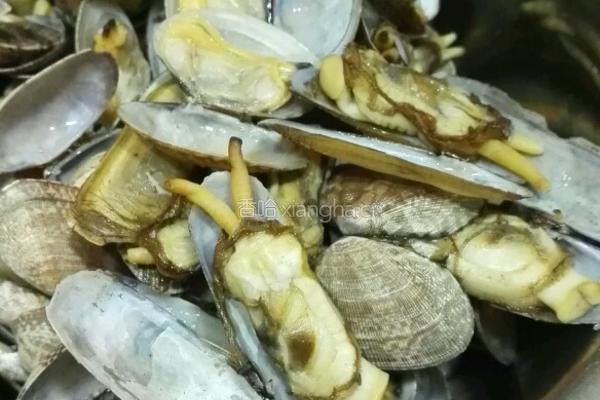海鲜大咖的做法图解3