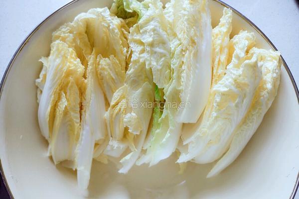 娃娃菜炖粉条的做法图解3