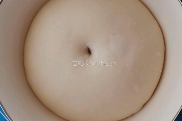 卡士达酱奶油面包的做法图解6