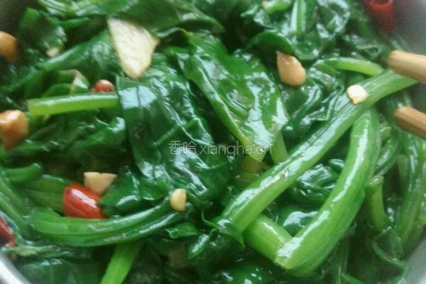 凉拌菠菜的做法图解10