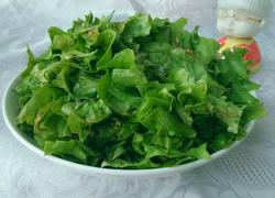 春风拂面……拌生菜