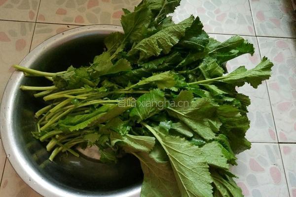 外婆菜的做法图解1