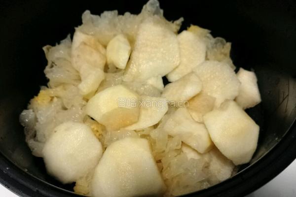 冰糖银耳雪梨的做法图解4