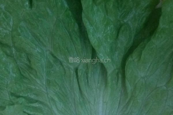 早餐饼的做法图解12