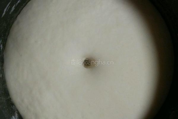 荠菜肉包子的做法图解9