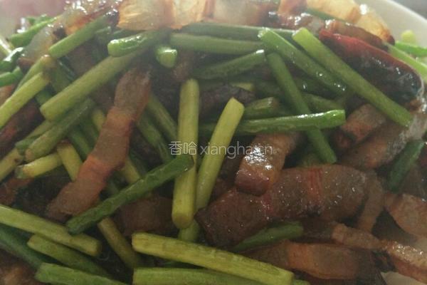蒜苔炒腊肉的做法图解6