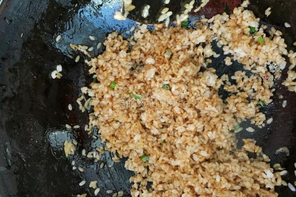虾皮酱油炒饭的做法图解5