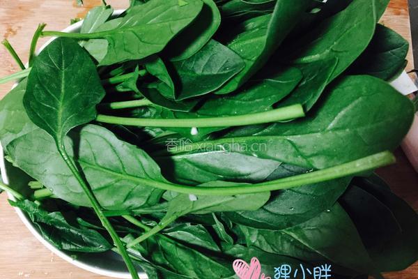 蒜蓉菠菜的做法图解3