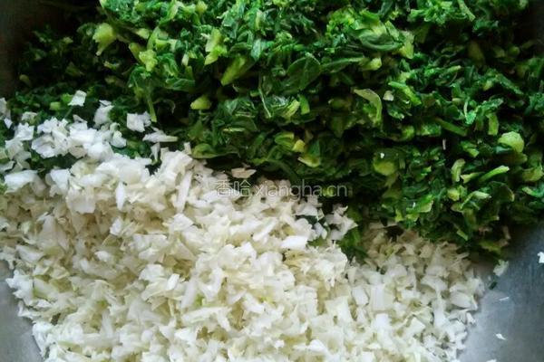 山菜水饺的做法图解2