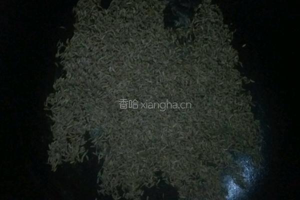纯手工孜然粉的做法图解2