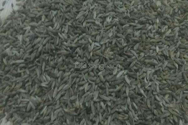 纯手工孜然粉的做法图解5