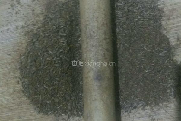 纯手工孜然粉的做法图解7