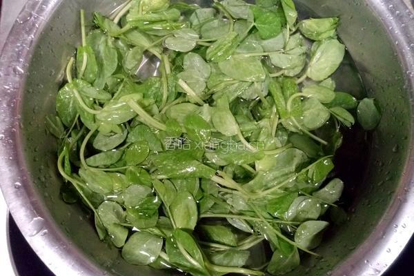 豌豆苗豆腐汤的做法图解1
