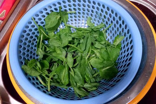 豌豆苗豆腐汤的做法图解2