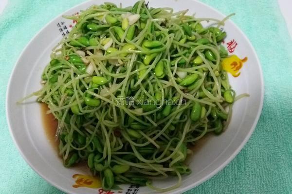 凉拌豆苗的做法图解8