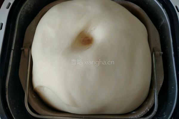豆沙面包的做法图解6