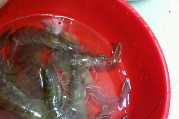 家常自制白灼虾的做法图解1