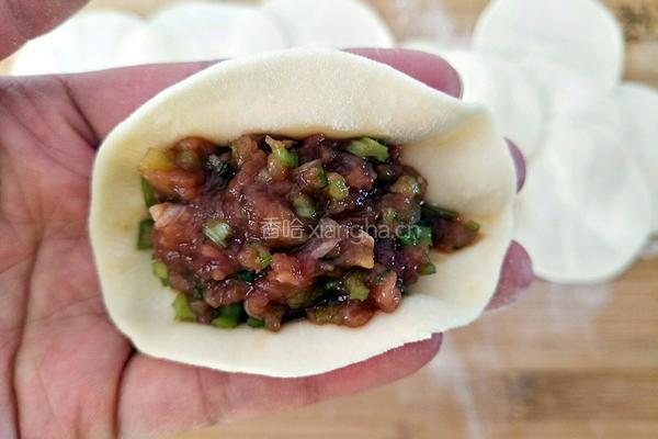 猪肉芹菜大葱馅煎饺的做法图解11