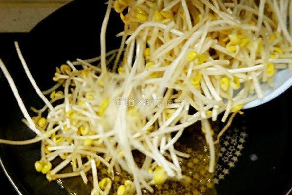 豆芽菜炒青蒜的做法图解4