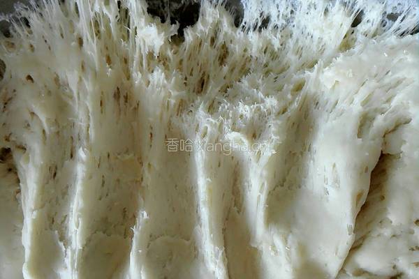 韭菜鸡蛋虾皮素包的做法图解10