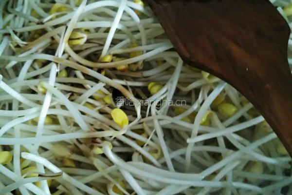 爆炒黄豆芽的做法图解6
