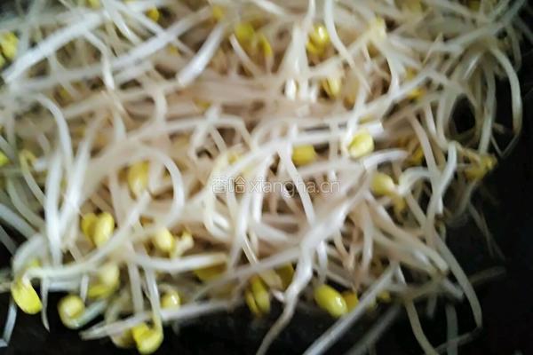 爆炒黄豆芽的做法图解7