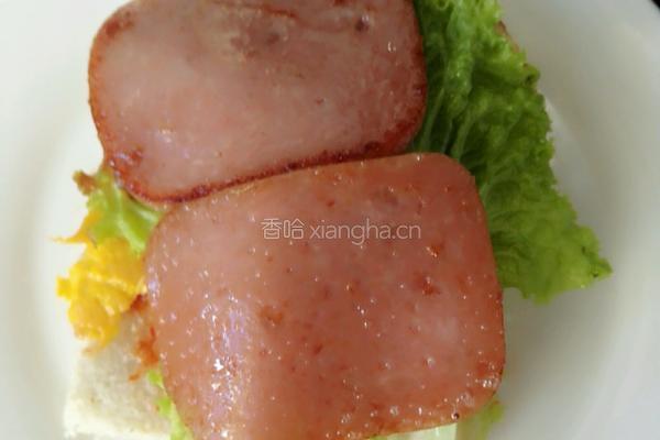 早餐三明治的做法图解9