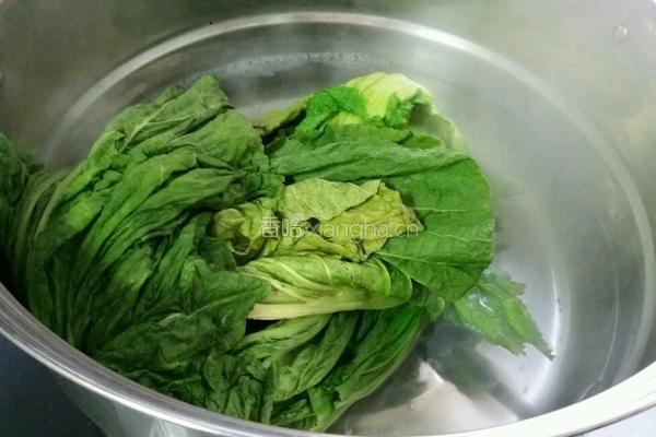 自制芥菜酸菜的做法图解4
