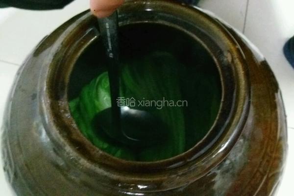 自制芥菜酸菜的做法图解6