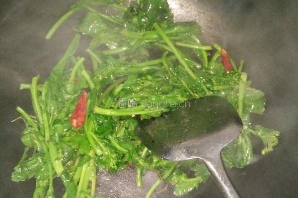 炝炒菜苔的做法图解3