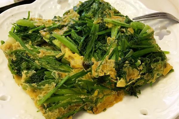 茴香苗炒鸡蛋