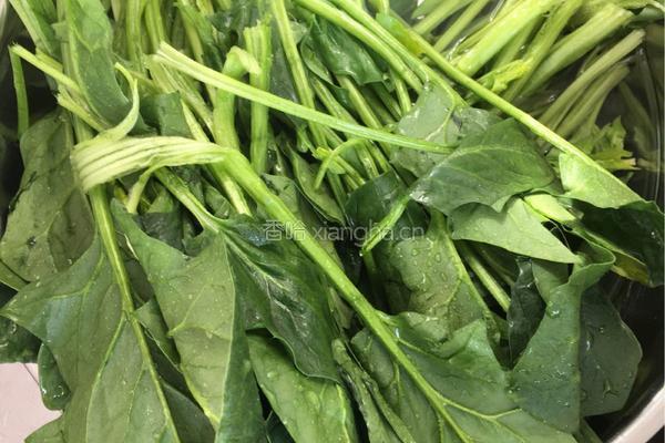 老醋菠菜的做法图解1