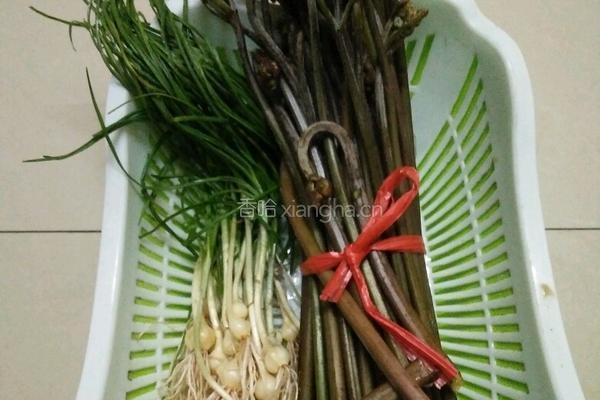 炒蕨菜的做法图解1