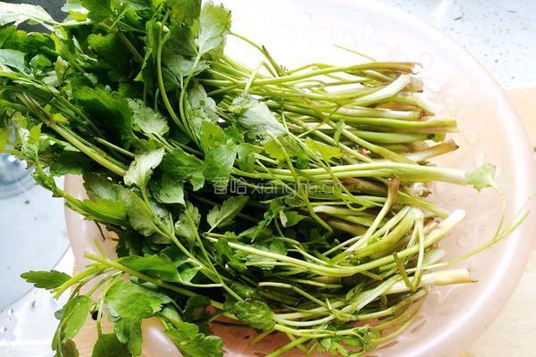 野芹炒香干的做法图解1