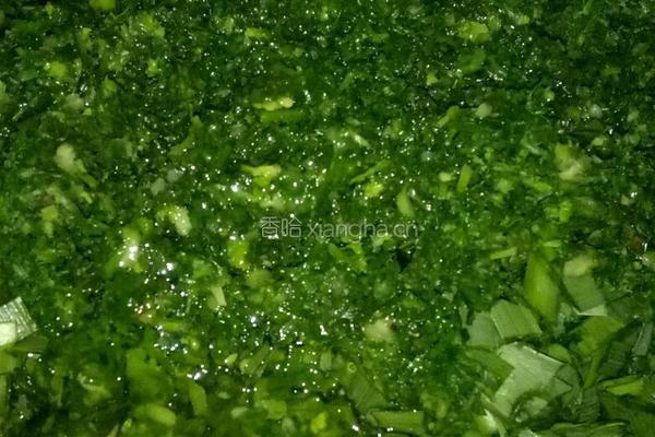 荠菜水饺的做法图解7