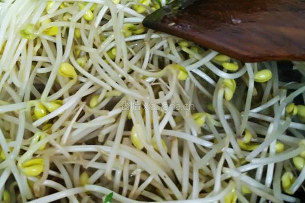 肉末豆芽菜的做法图解8