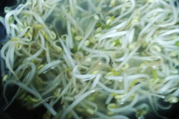 豆芽凉菜（无辣版）的做法图解3