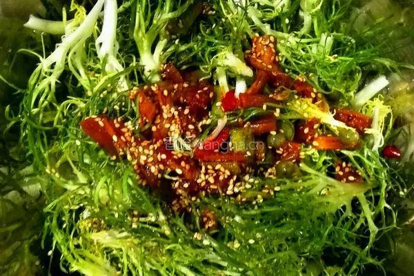凉拌苦菊的做法图解4