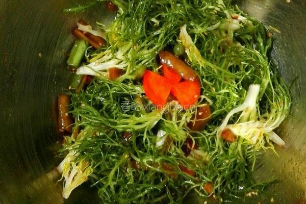 凉拌苦菊的做法图解5