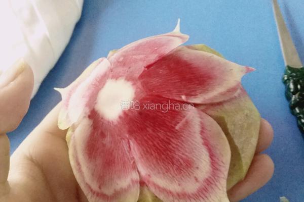 荷花（）莲花的做法图解6