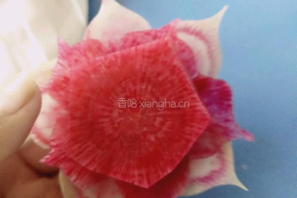 荷花（）莲花的做法图解13