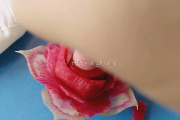 荷花（）莲花的做法图解15