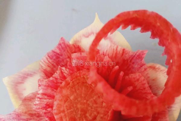 荷花（）莲花的做法图解20