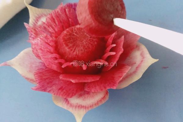 荷花（）莲花的做法图解22